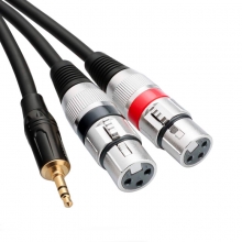 Genérico Cable Minijack-XLR*